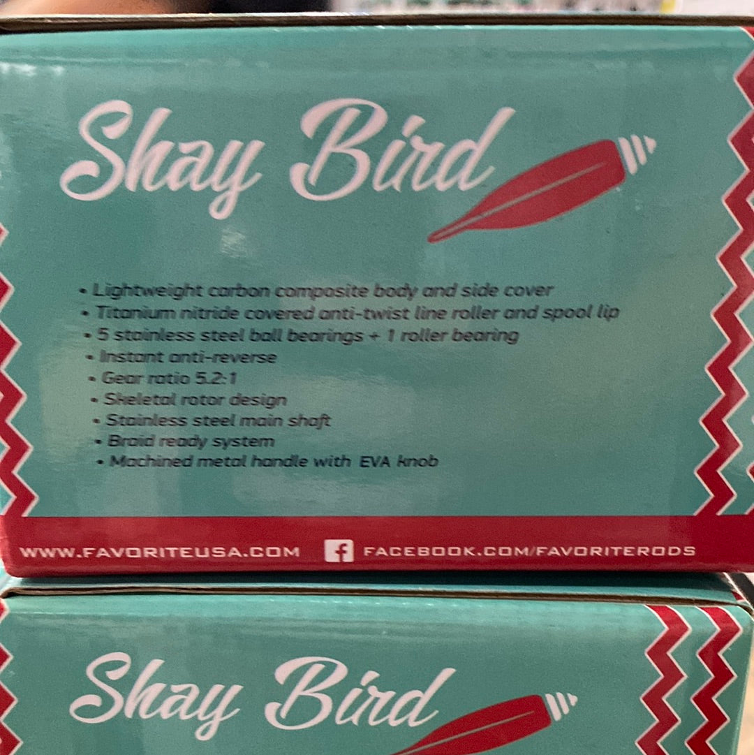 Favorite Shay bird 2000