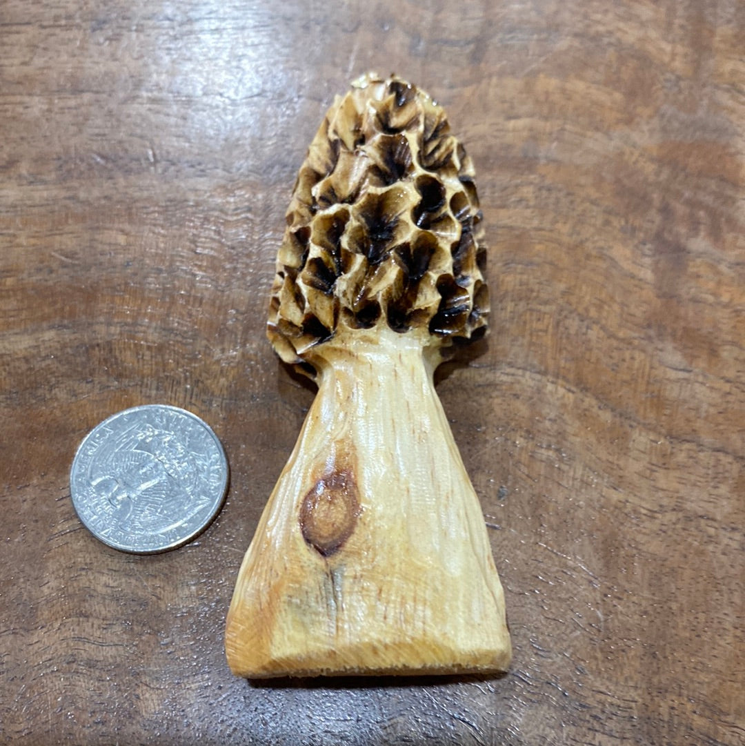 Morel Carvings