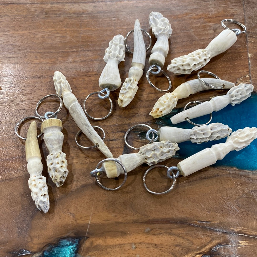 Morel Carvings
