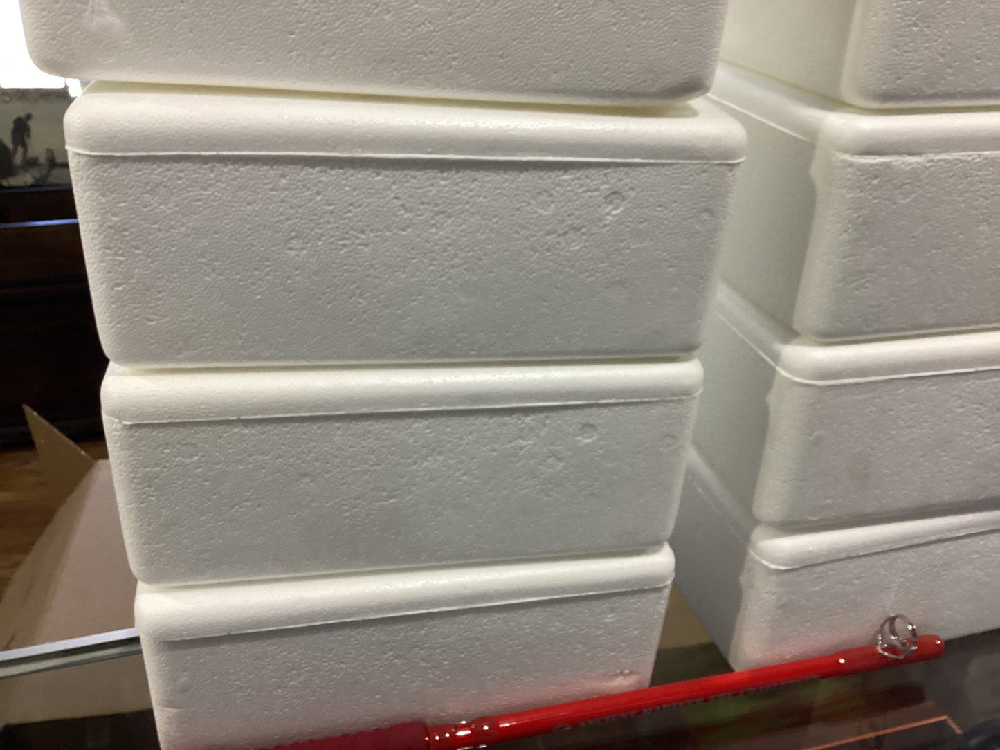 Foam bait box